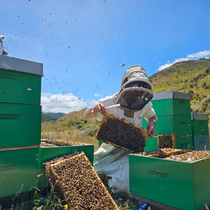 TranzAlpine organic Manuka Honey Hives up close