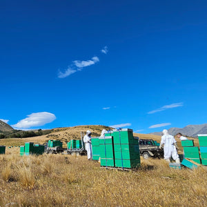 TranzAlpine organic Manuka Honey Hives