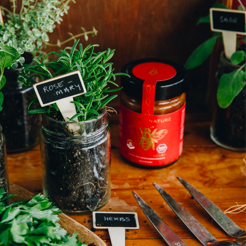 10+ UMF Manuka Honey